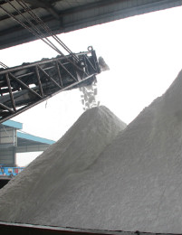 888集团(中国)有限公司